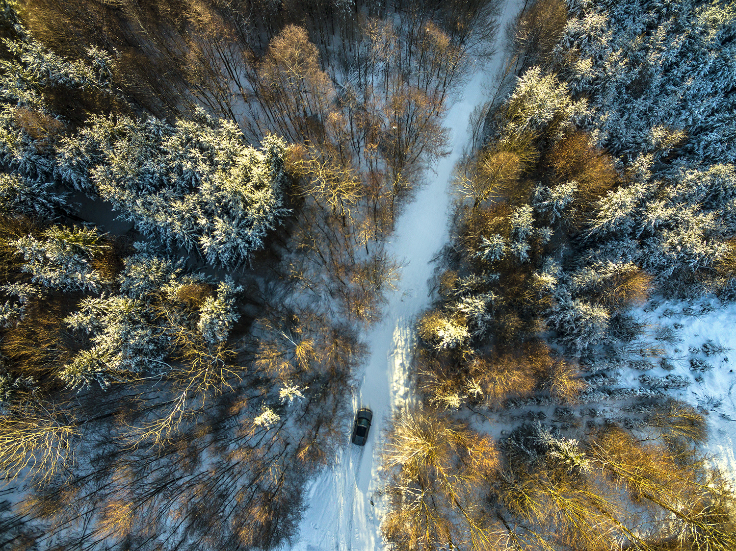 aerial drone drohne